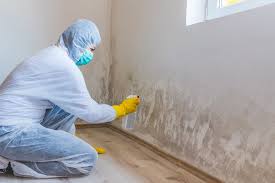 Environmental Consulting for Mold Prevention in Argyle, TX